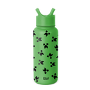 Minecraft Summit Water Bottle with Straw Lid